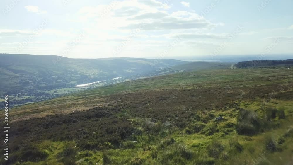 Aerial view of the Valley at Wicklow Mountains, drone flying forward and over some sheeps.