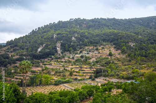  Valldemossa. Mallorca. Balearic Islands. Spain. photo