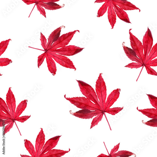 Watercolor hand drawn autumn leaf isolated seamless pattern.