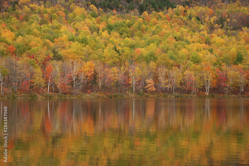 Fototapeta premium Zdjęcie krajobrazu upadku liści odzwierciedlenie na jeziorze
