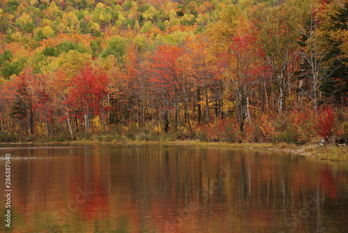 New England foliage during peak season reflecting in calm lake water. serene nature landscape photo of bright fall season