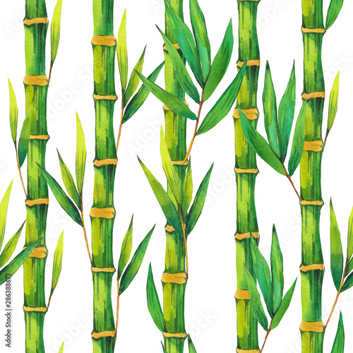 Fototapeta Naklejka Na Ścianę i Meble -  SPA watercolor seamless pattern. Illustrations bamboo branch with leaves. Nature background.