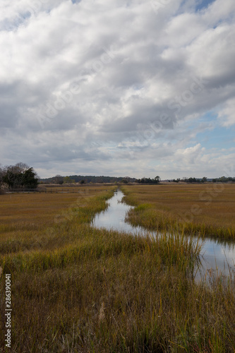 landscape with blue sky in sussex county lewes delaware mid atlantic usb