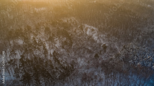 Aerial view of a white forest, during sunrise. © Ion