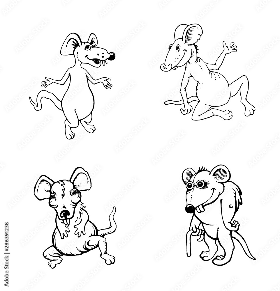 Rat. Graphic drawing. Black and white portrait image of animals. Illustrations for children and adults. Chinese Horoscope 2020.