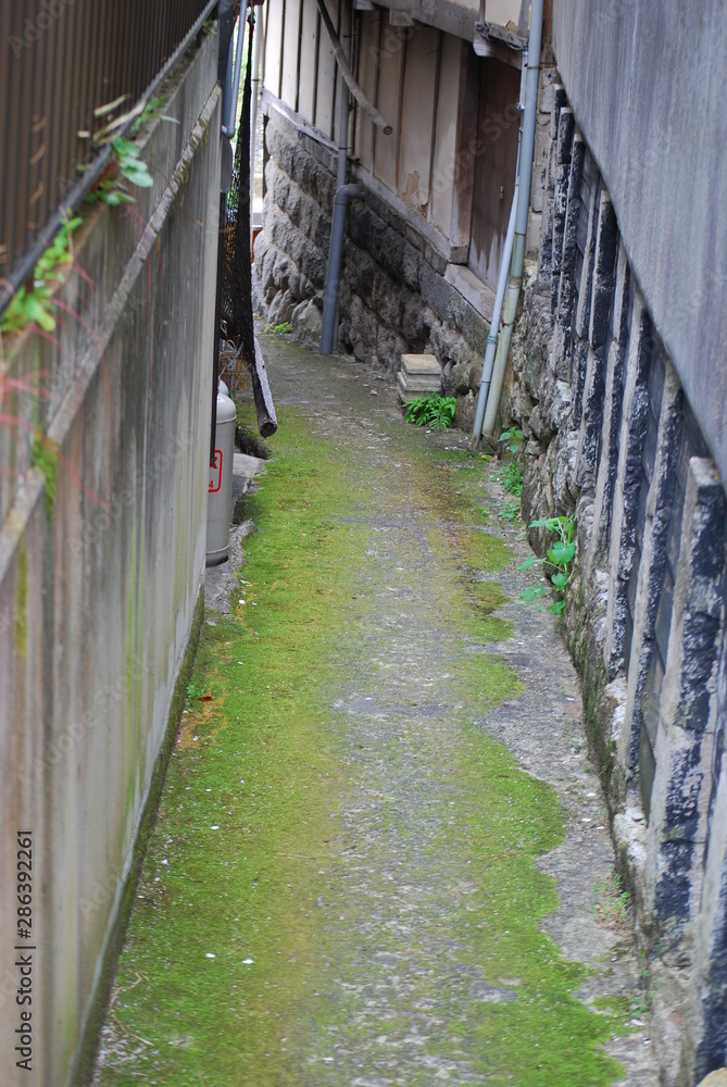 路地 路地