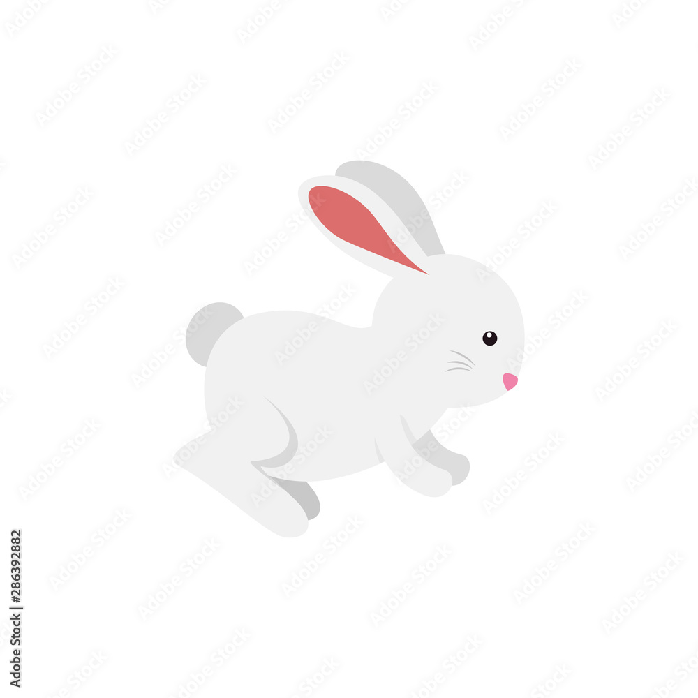 Obraz premium cute and little rabbit character