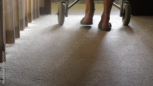 Legs of older retired senior woman at home mobile with support of walking frame.