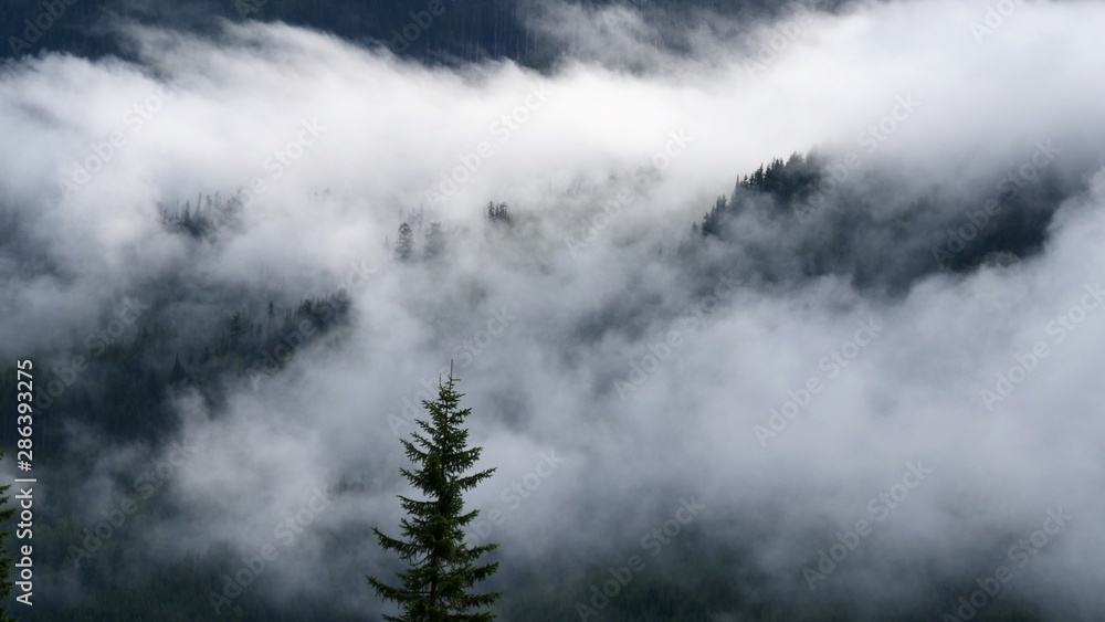 Mountain Morning Mountain Morning