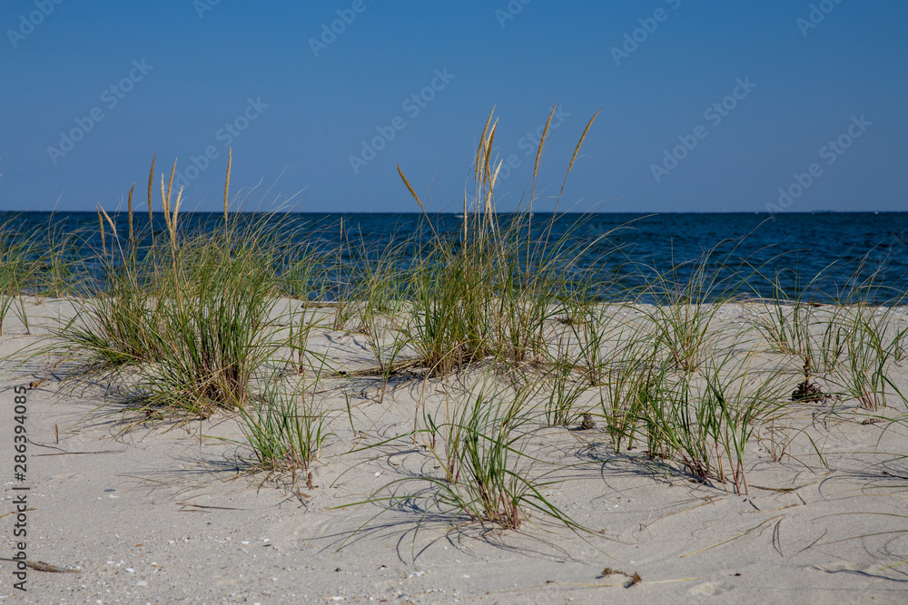 view of the chesapeake bay in calvert county southern maryland from flag ponds nature park view of the chesapeake bay in calvert county southern maryland from flag ponds nature park