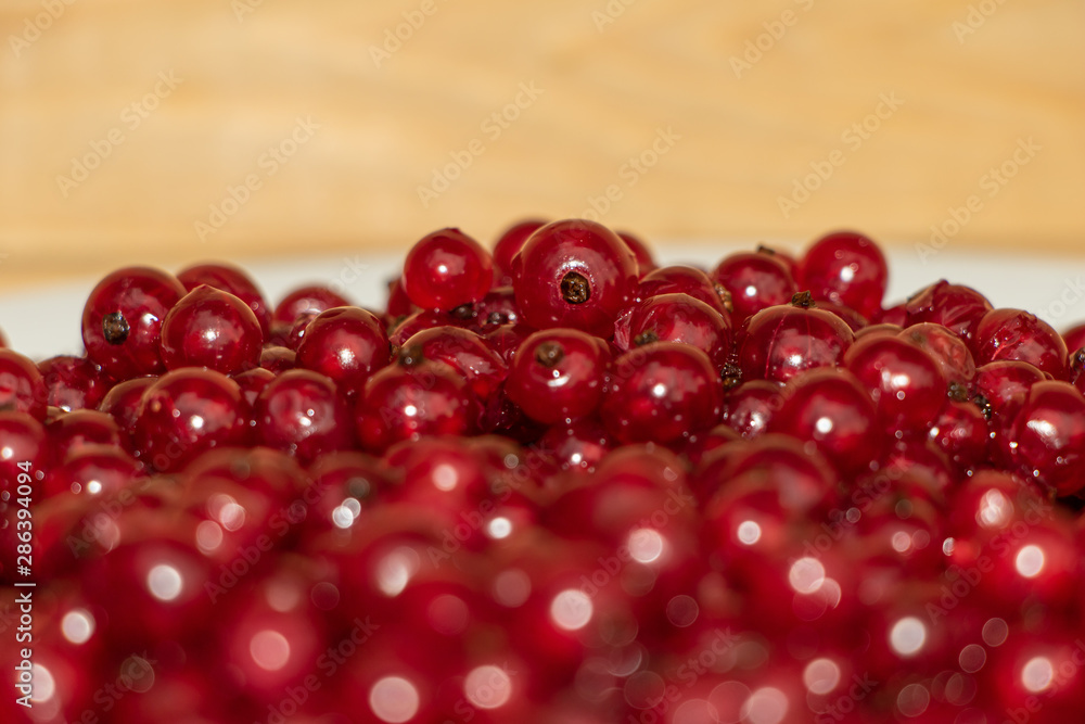 Red currant close up juicy and fresh Red currant close up juicy and fresh