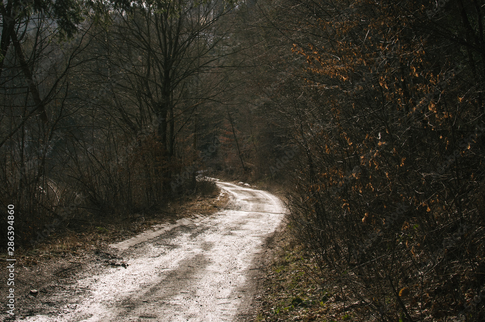 Last signs of winter in the valley near Hruba Voda Last signs of winter in the valley near Hruba Voda