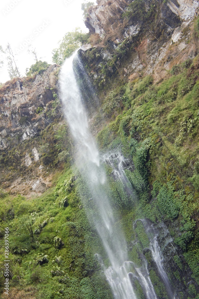 Obraz premium waterfall in forest