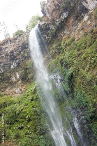 waterfall in forest