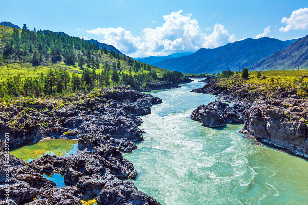 Katun river with rapids. Gorny Altai, Siberia, Russia