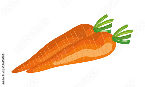 fresh carrots vegetable nature icon