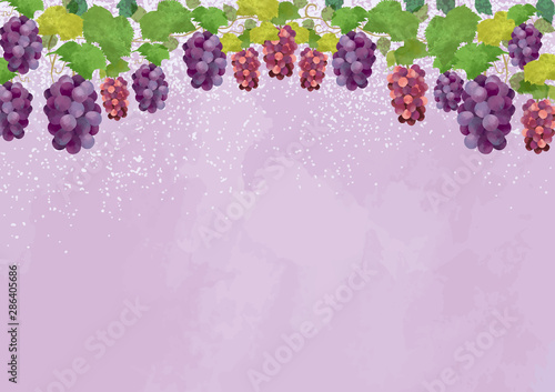 ぶどう　10月　フレーム　植物　秋　果物　巨峰　フレーム