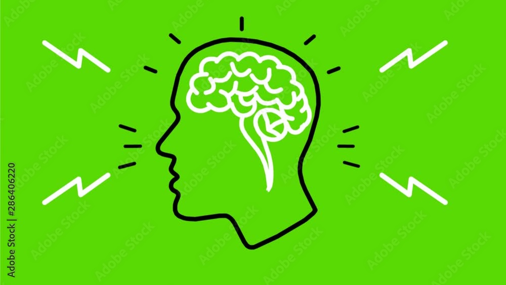 2d Animation monoline style drawing of a human head with brain inside on white and green screen with alpha matte in HD high definition. 2d Animation monoline style drawing of a human head with brain inside on white and green screen with alpha matte in HD high definition.
