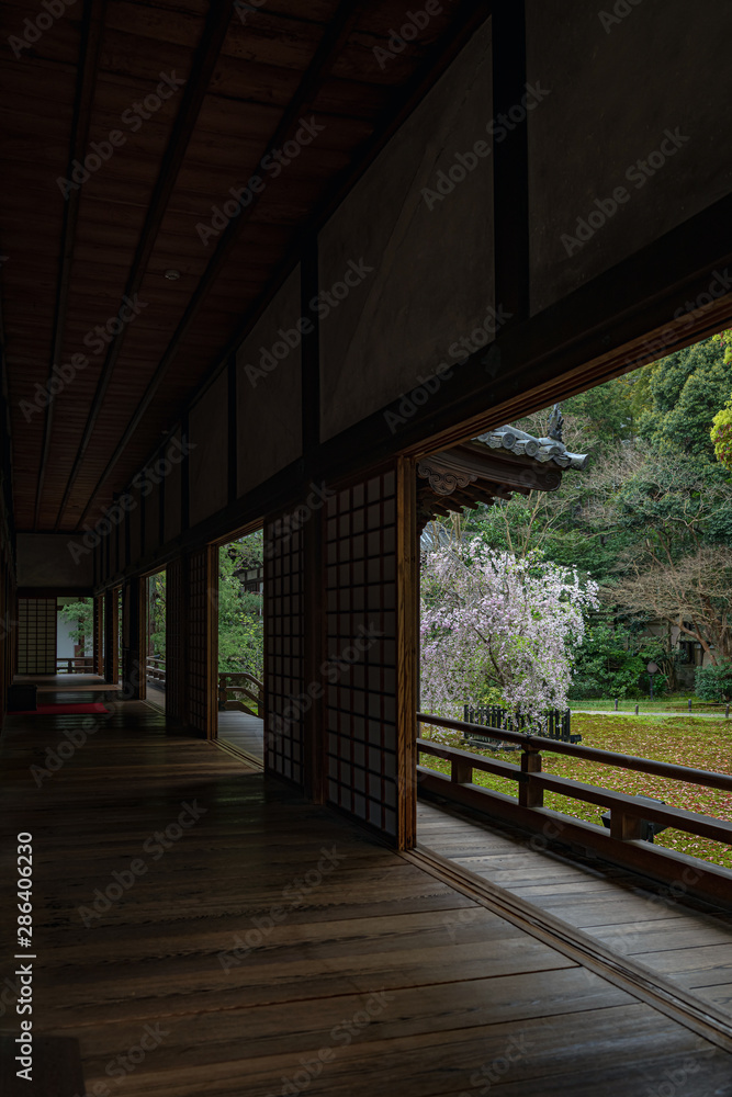 京都 青蓮院 宸殿と前庭 京都 青蓮院 宸殿と前庭