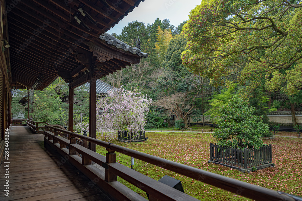 京都 青蓮院 宸殿と前庭