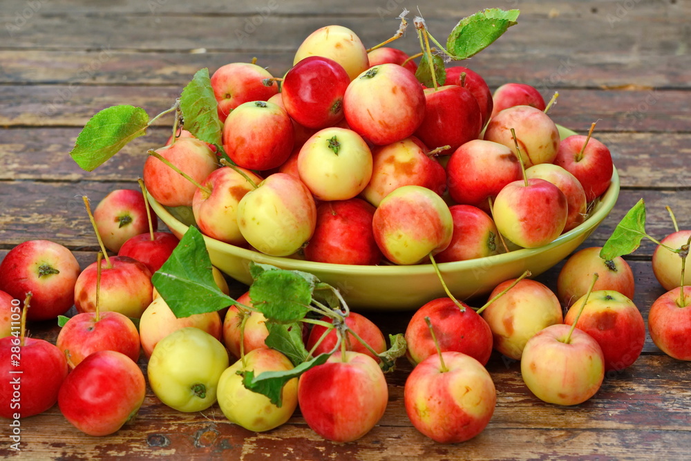 red yellow apples with green foliage in a deep bowl and scattered around it on old wooden plank surface red yellow apples with green foliage in a deep bowl and scattered around it on old wooden plank surface
