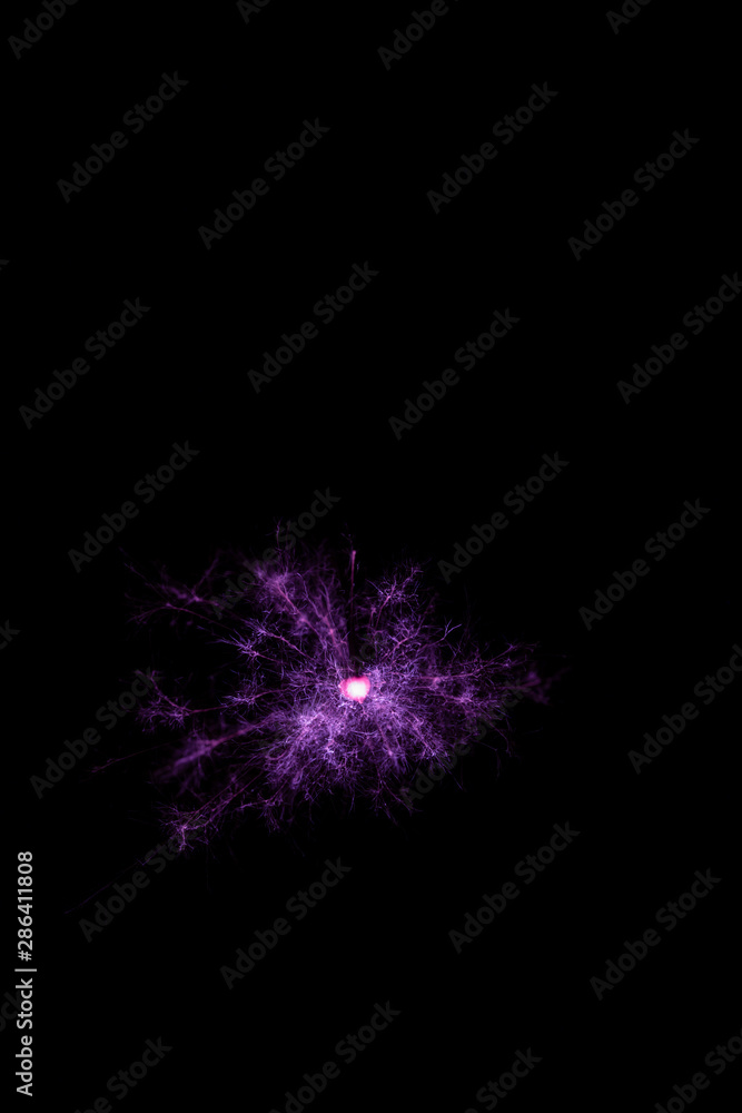 Fototapeta premium 線香花火