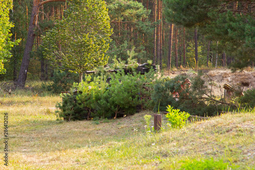 Armoured weapons carrier from german army stands at military training area photo