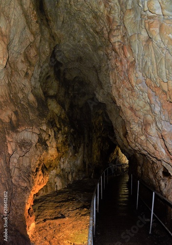 Bear cave from Chiscau village Bihor county