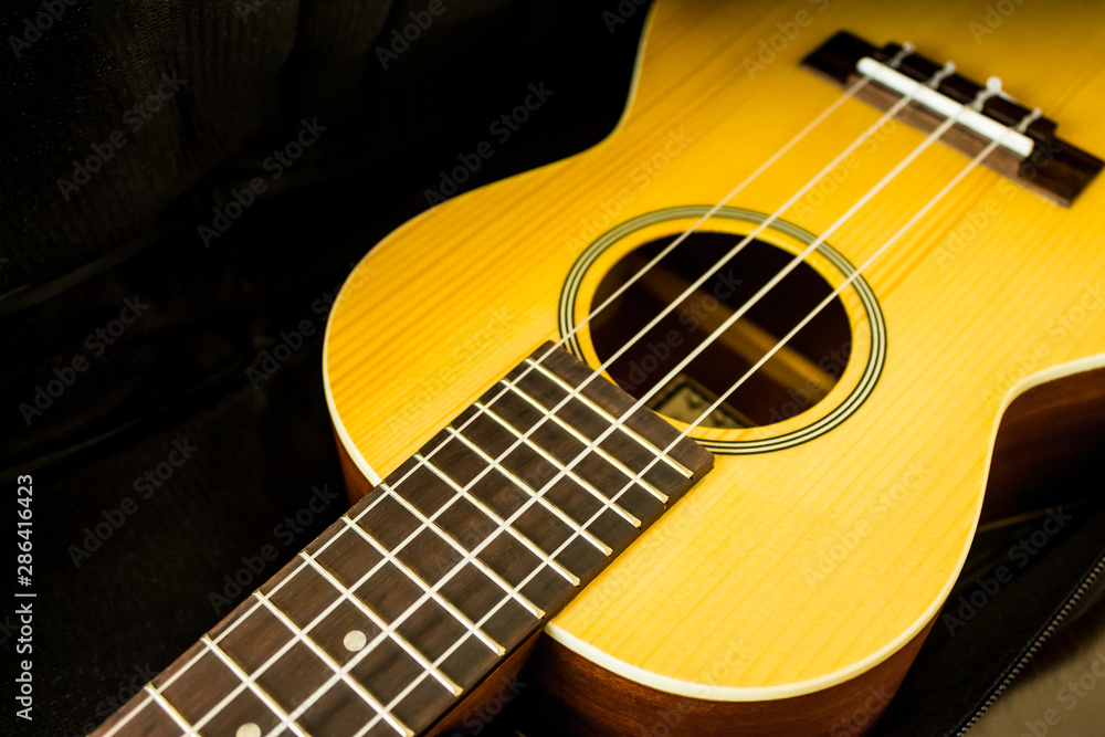 acoustic ukulele on black background