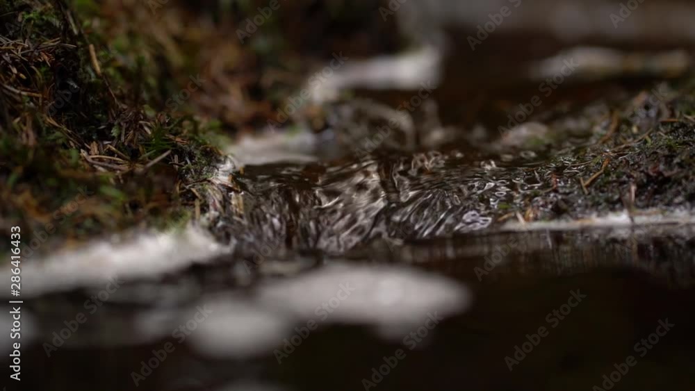 River Running Water in Forrest River Running Water in Forrest