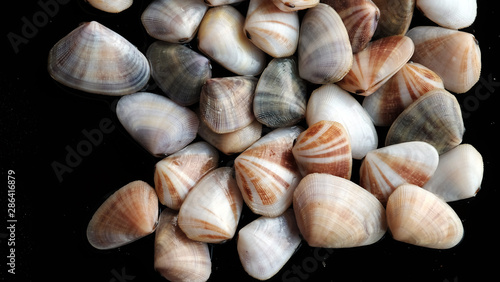 Fresh clam at the beach