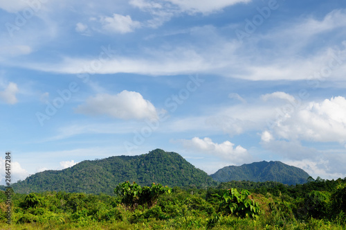 Indonesia - Tropical landscape on the river  Borneo