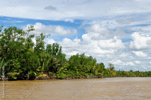 Indonesia - Tropical jungle on the river, Borneo © Rafal Cichawa