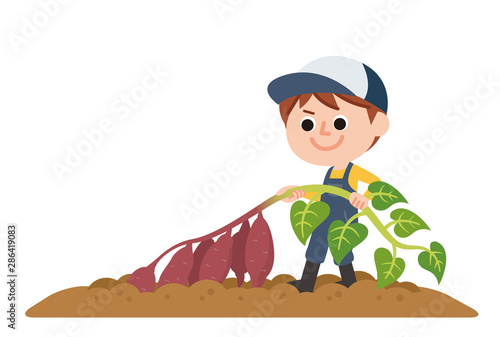 サツマイモ狩り