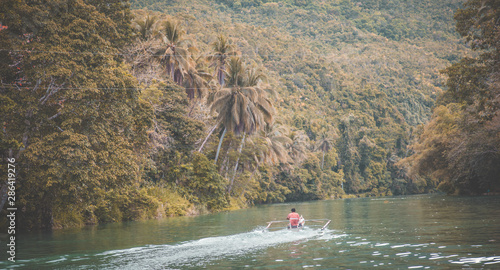 Bohol jungle, tarsier and chocolate hills, in Cebu, Philippines photo