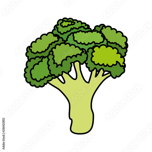 fresh broccoli vegetable nature icon