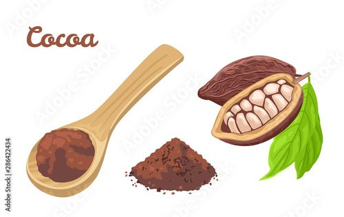 Cocoa powder in wooden spoon. Cacao beans with green leaves, heap of chocolate powder isolated on white background. Vector food illustration in cartoon simple flat style.