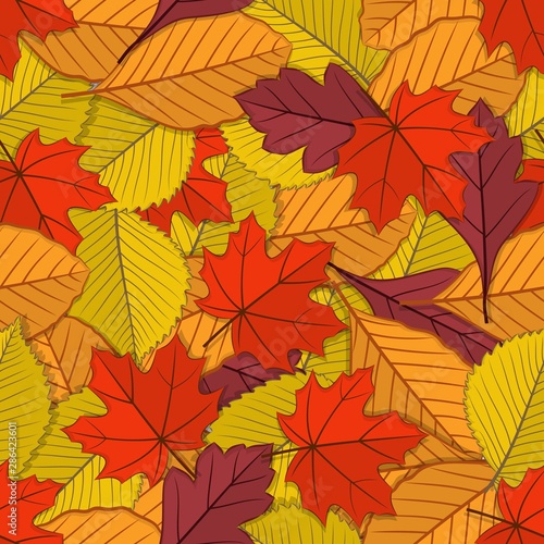 Autumn seamless pattern with fall leaves. Vector illustration