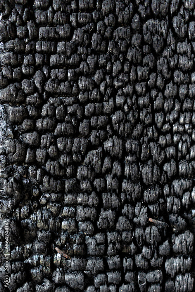 burnt board texture photo close up burnt board texture photo close up