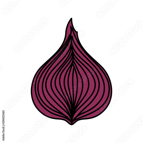 fresh onion vegetable nature icon