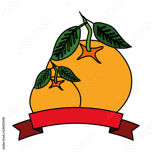 fresh oranges fruits with ribbon seal