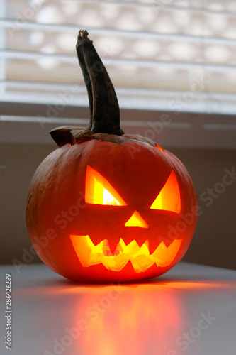 Wallpaper Mural Halloween October holiday celebration symbol, scary pumpkin on kitchen table glowing from inside Torontodigital.ca