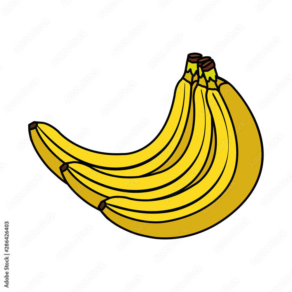 fresh bananas fruits nature icons
