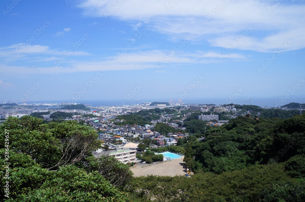 横須賀の町並み(鷹取山からの眺望）