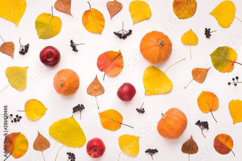Colorful flat lay of pumpkin and golden fallen leaves on white