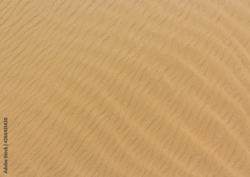 desert background or sand texture desert background or sand texture