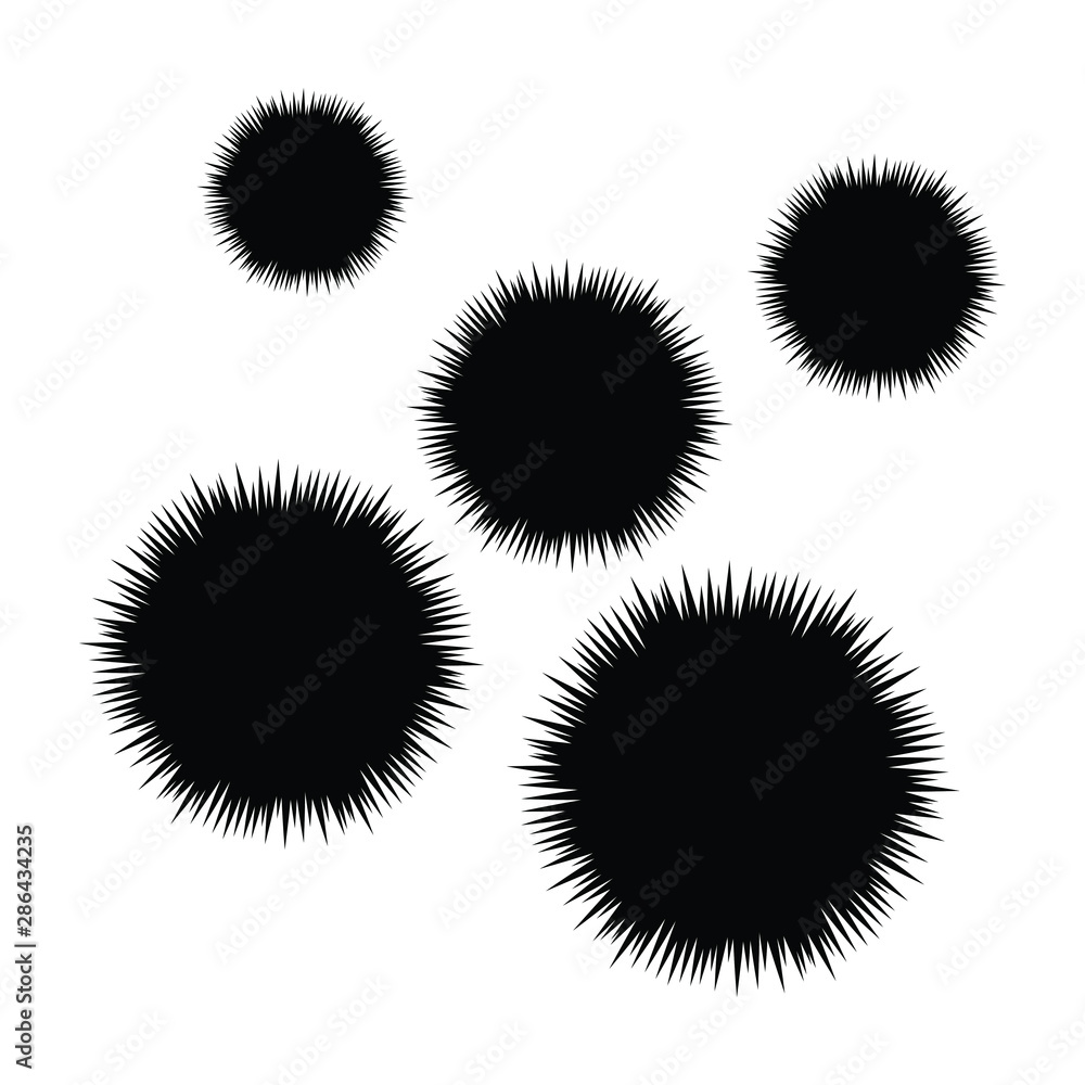 sea urchins sea urchins