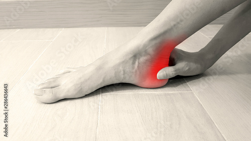 Foot anatomy with red highlight on painful area.  Ankle pain may cause from muscle strain, Achilles tendinitis, ligament sprain, arthritis, bone fracture or bursitis disease. Medical symptom concept