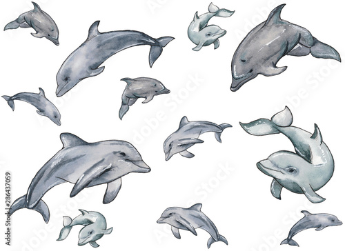 Hand drawn illustration pattern of watercolor swimming dolphins isolated on white background