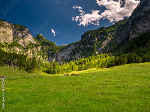 Behind and between the Königsee and Obersee is a beautiful Bavarian Landscape which you should not miss either